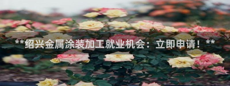 美高梅酒店logo图片高清