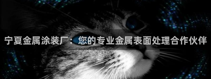 美高梅音乐会