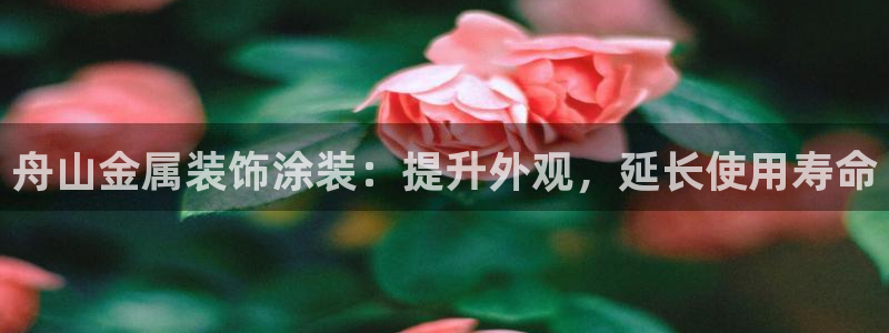 美高梅酒店图片