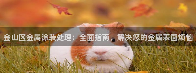 美高梅公司的社会信用代码查询