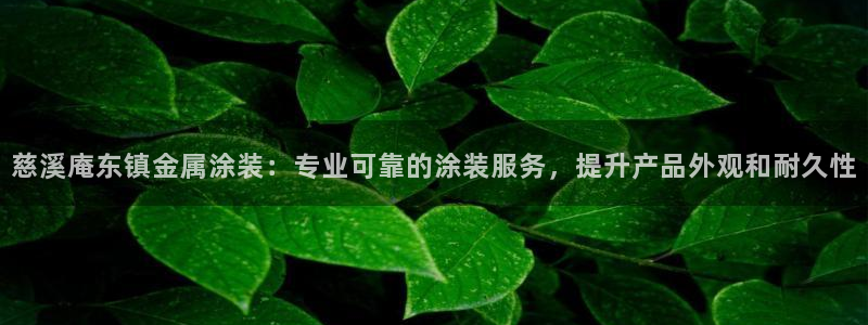 美高梅怎么打不开了