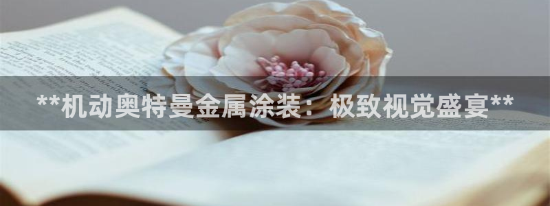美高梅筹码图片