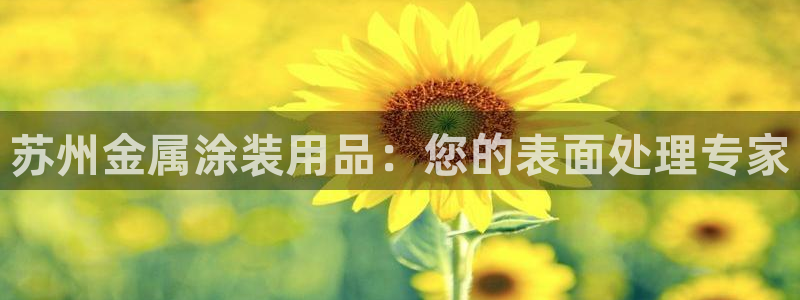 美高梅哪个集团