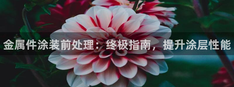 美高梅穿梭巴士免费吗