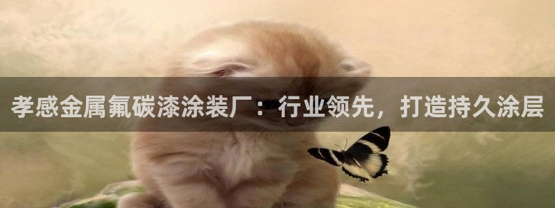 美高梅酒店填海
