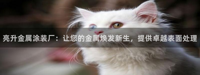 美高梅年卡