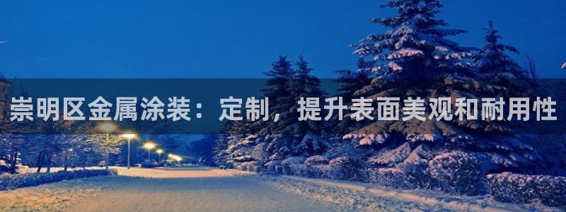 美高梅公司简介