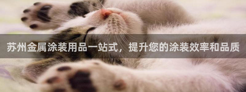 美高梅旗下酒店