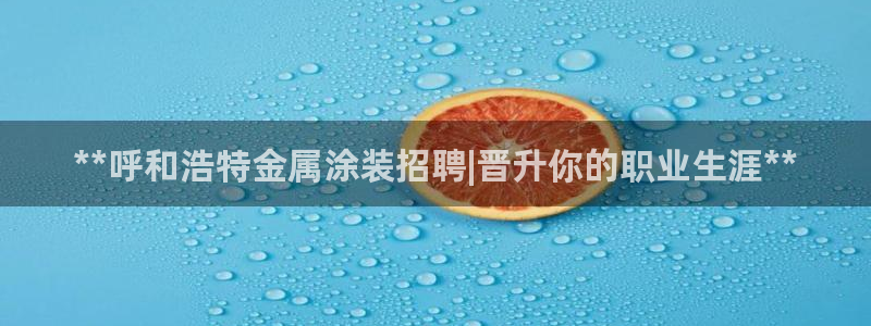 美高梅是谁的产业