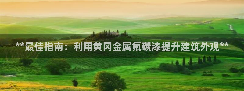 美高梅酒店入住率