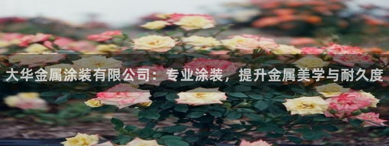 美高梅控股有限公司怎么样