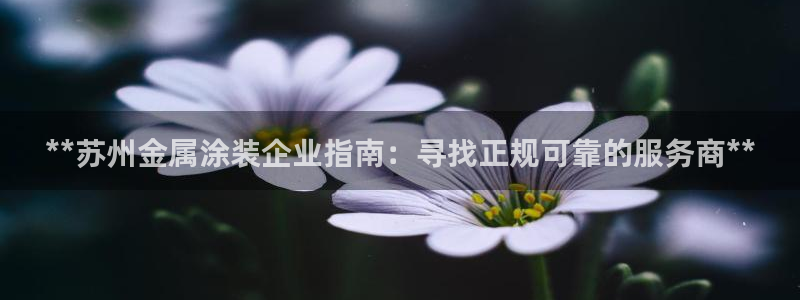 美高梅股票代码