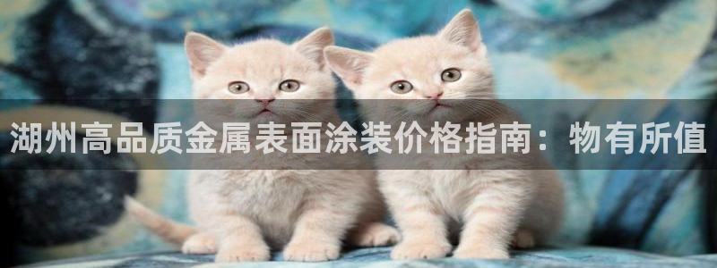 美高梅股票代码02282最近行情