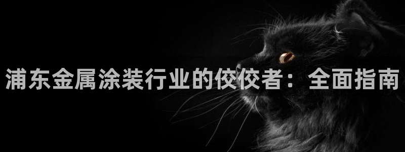 美高梅会员卡颜色区别