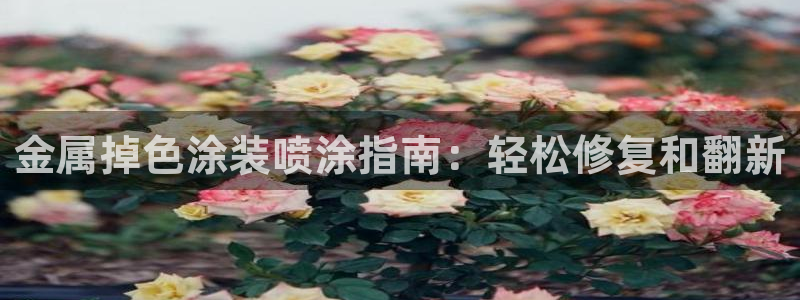美高梅会员卡免费吗