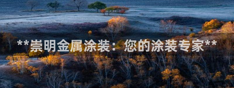 美高梅酒店属于什么档次