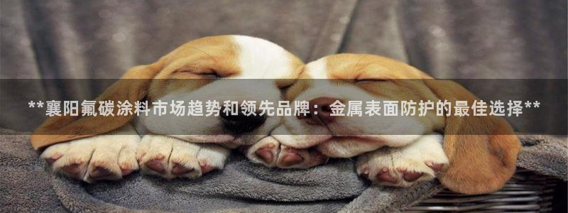 美高梅游戏苹果手机版