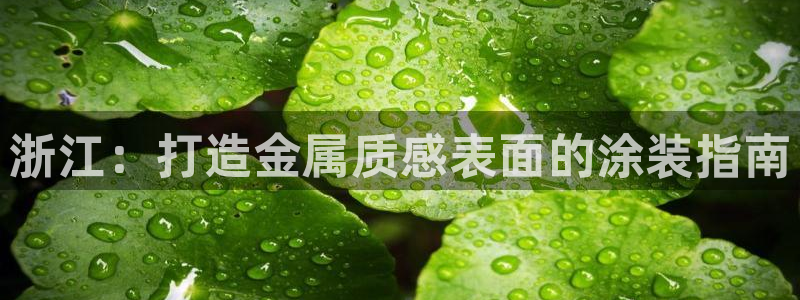 美高梅公司游戏注册网址是多少