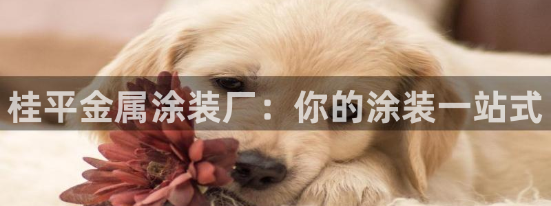 何超琼美高梅酒店陈百强