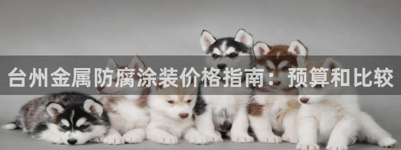 美高梅酒店股票