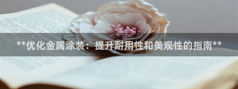 美高梅筹码图片高清