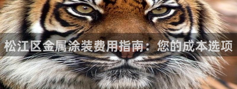 美高梅堵场是谁的
