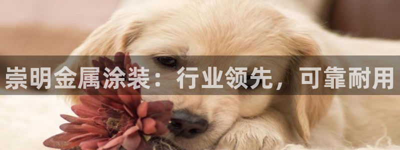 美高梅酒店在哪个区