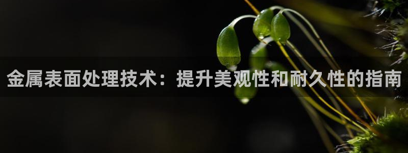 美高梅官方
