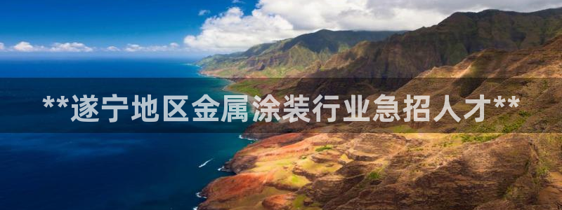 三亚美高梅酒店老板是谁
