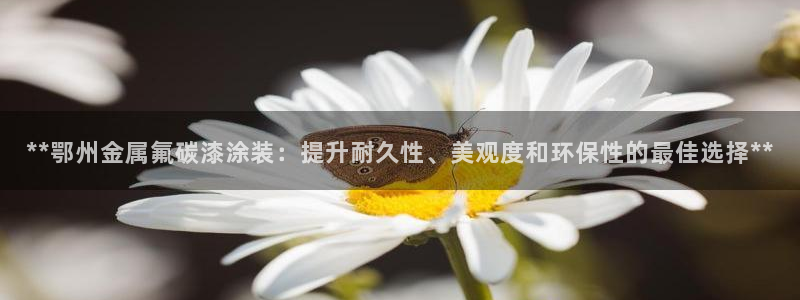 美高梅股票价格