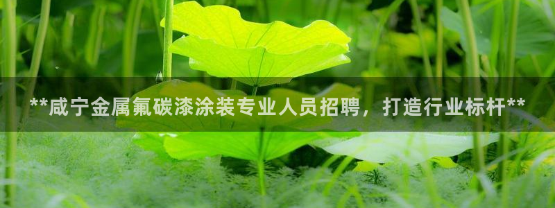 美高梅度假酒店会员卡