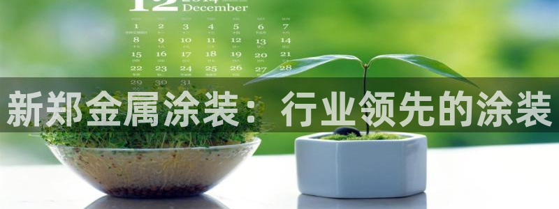美高梅几星级酒店?