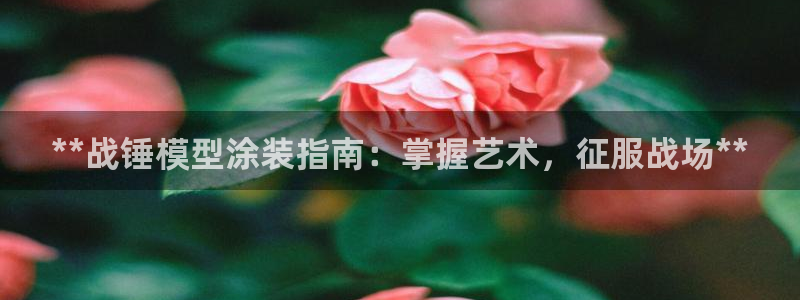 美高梅会员卡级别分类图片