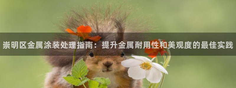 美高梅在哪