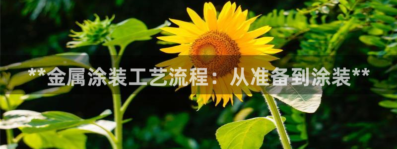 美高梅会员卡等级图片