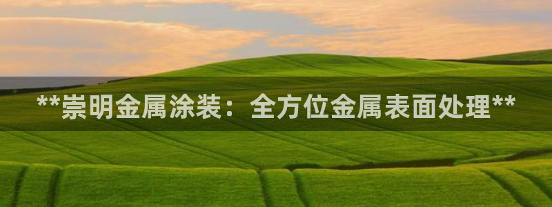 美狮美高梅酒店黑卡