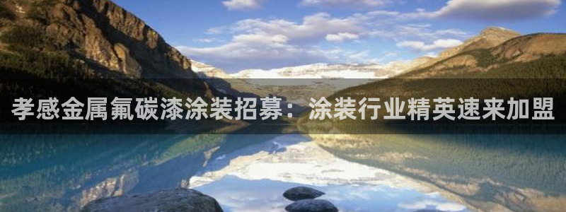 美高梅股票中国净资产多少