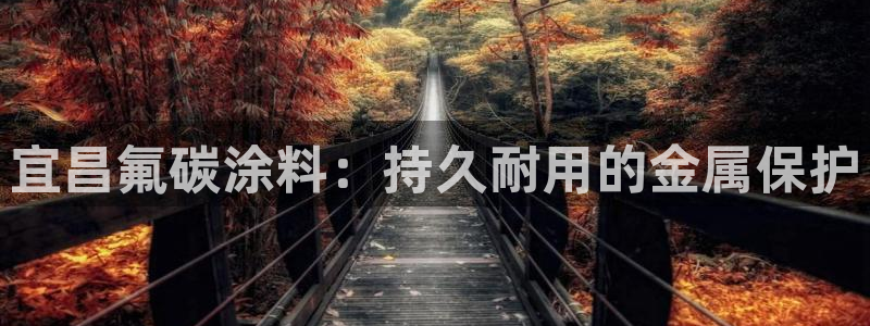 美高梅公司的社会信用代码查询