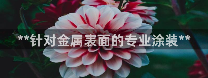 美高梅住一晚多少钱