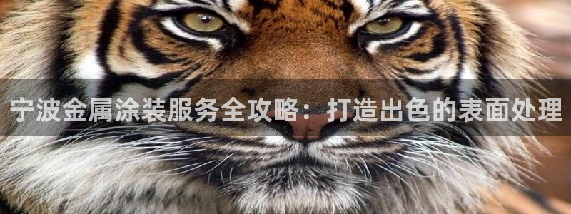 美高梅酒店管理有限公司