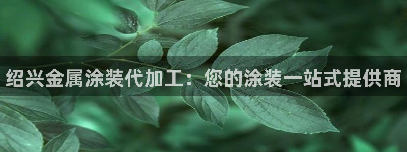 美高梅飞鱼表演在哪里