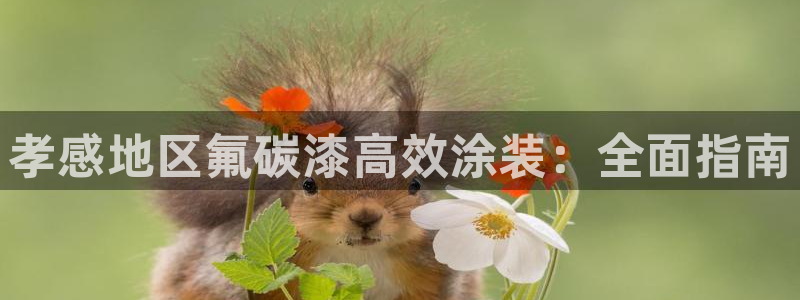 美高梅官网 澳门
