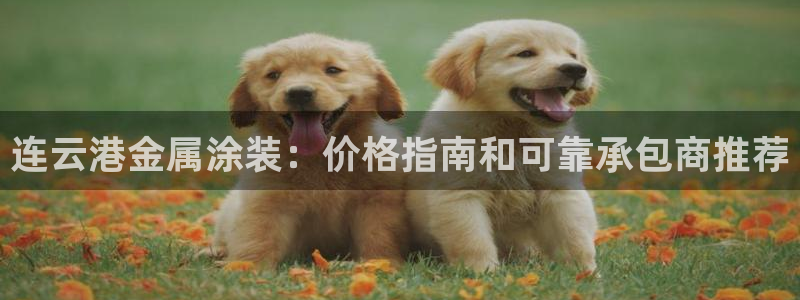 美高梅股票涨了多少