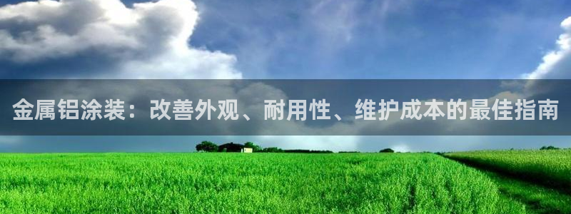 美国美高梅酒店集团