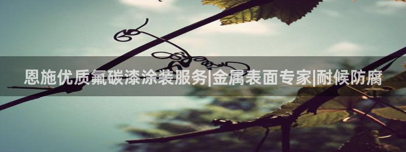 美高梅会员卡有啥用