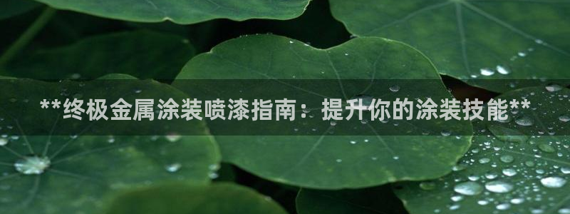美高梅属于什么集团
