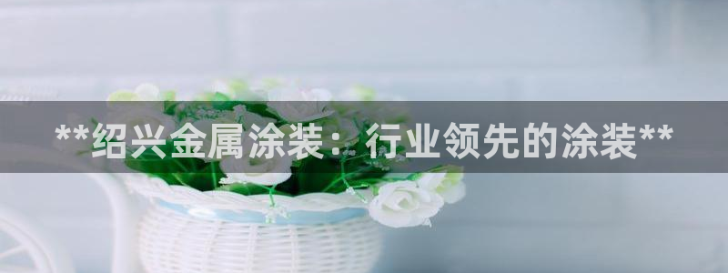 美高梅何超琼持股多少