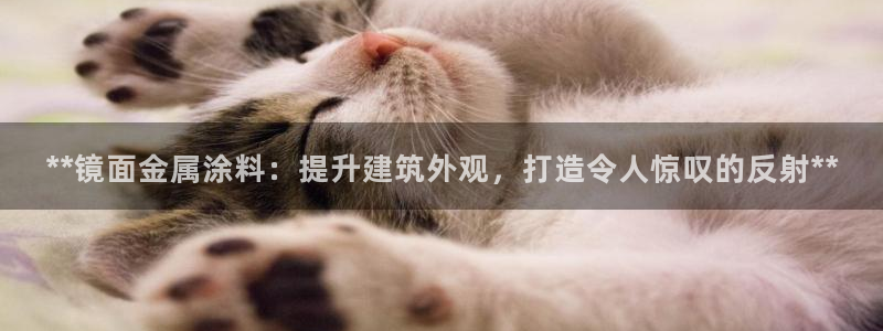 美高梅空中海洋秀是免费的吗