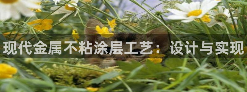 美高梅儿童乐园