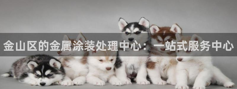 美高梅集团老板
